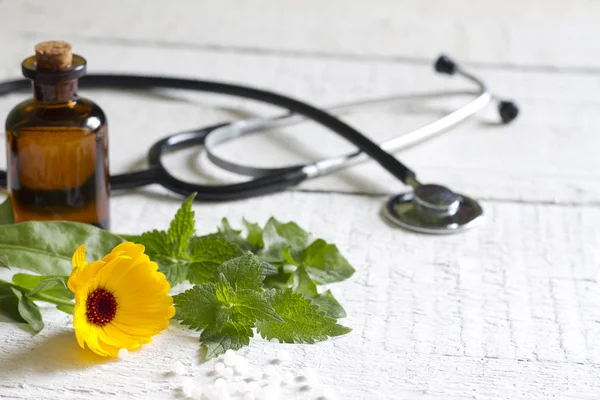 Alternative medicine herbs and stethoscope concept — Stock Photo, Image