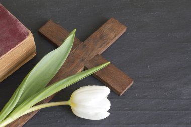 Bahar Lale ve çapraz soyut Paskalya kavramı