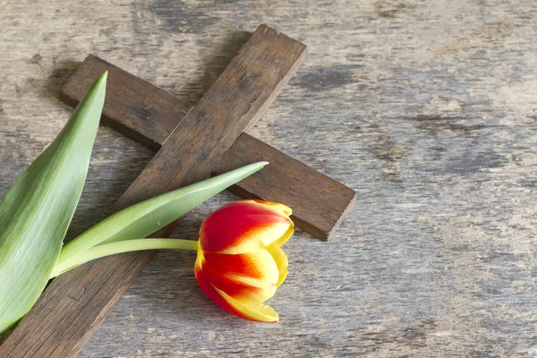 Frühlingstulpe und Kreuz abstraktes Osterkonzept — Stockfoto