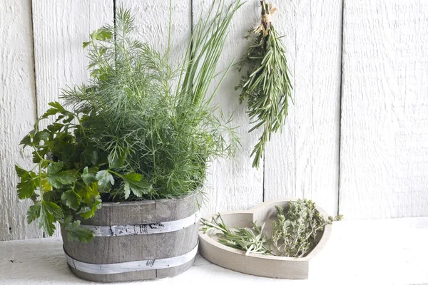 Fresh herbs and spices on white planks food concept — Stock Photo, Image