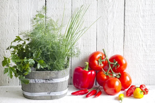 Ervas frescas e especiarias em tábuas brancas conceito de comida — Fotografia de Stock
