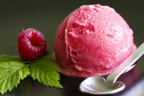 Scoop of raspberry ice cream with fresh fruit and green leaf — Stock Photo, Image