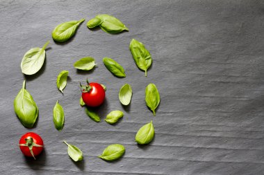 Basil leaves on stone abstract food background concept