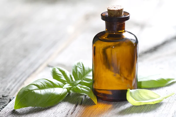 Basil oil and fresh herbs — Stock fotografie