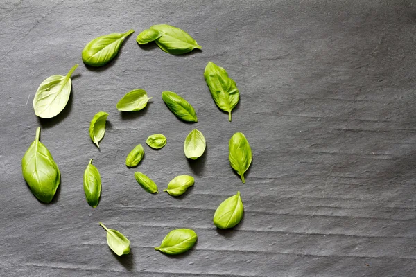 Basil leaves on stone abstract food background concept — ストック写真