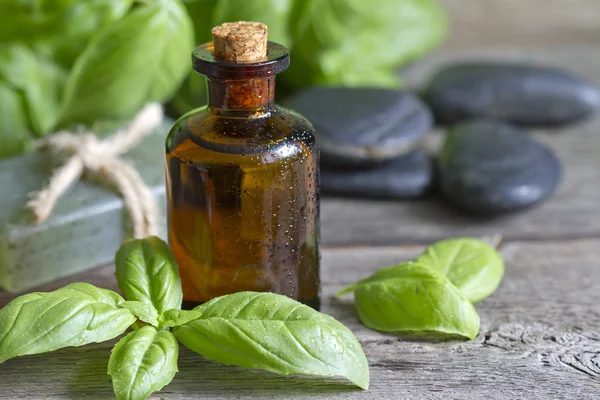 Basil oil and fresh herbs — Zdjęcie stockowe