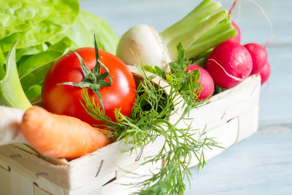 Verduras de primavera e ferramentas de jardinagem — Fotografia de Stock