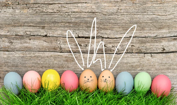 Huevos de Pascua de conejos . — Foto de Stock