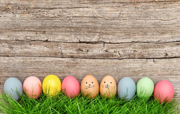 Funny easter eggs in green grass. — Stock Photo, Image