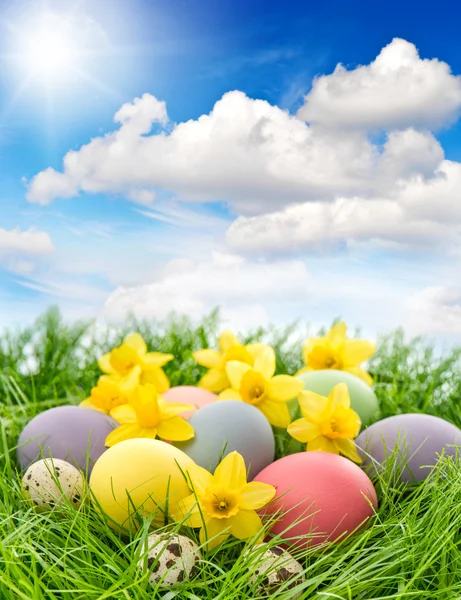 Huevos de Pascua con flores — Foto de Stock