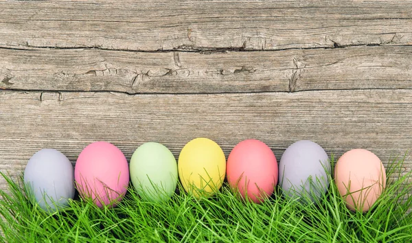 Colored easter eggs decoration — Stock Photo, Image