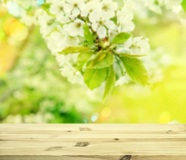 Tavolo in legno su ciliegio fiorito Fiori primaverili luce del sole — Foto Stock