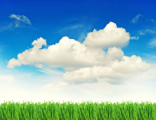 Πράσινο γρασίδι με σταγόνες νερό θολό μπλε ουρανό — Φωτογραφία Αρχείου