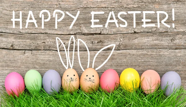 Eieren leuke paashaas. Grappige decoratie Happy Easter — Stockfoto