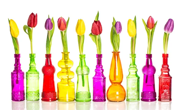 Tulipes colorées dans des vases sur fond blanc — Photo