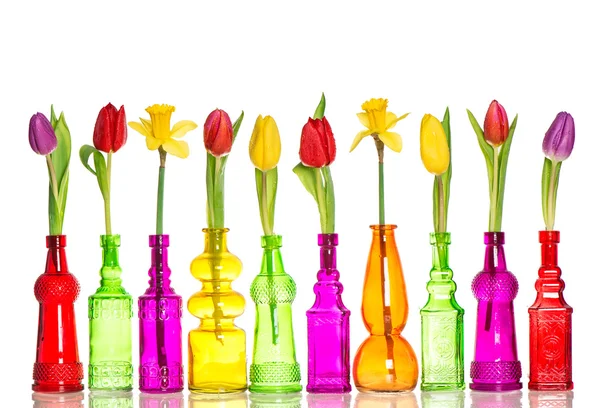 Spring flowers tulips and daffodils in color bottles — Stock Photo, Image