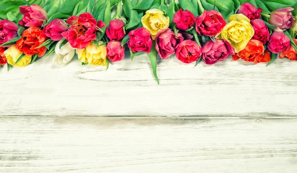 Frische bunte Tulpen. Frühlingsblumen. Jahrgangsstil — Stockfoto