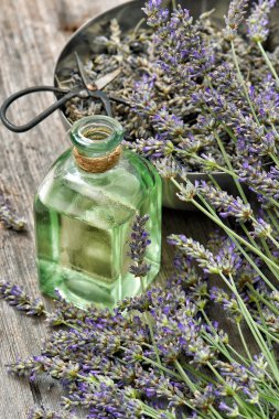 Lavanta çiçekleri bitkisel yağ. Alternatif ev tıp