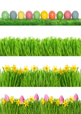 Çiçek Paskalya afiş. Bahar nergis Lale çiçek