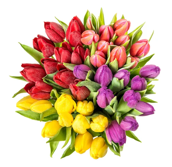 Tulpen mit Wassertropfen. — Stockfoto