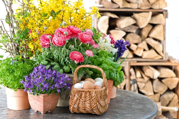 Decoración de flores de primavera y huevos de Pascua — Foto de Stock