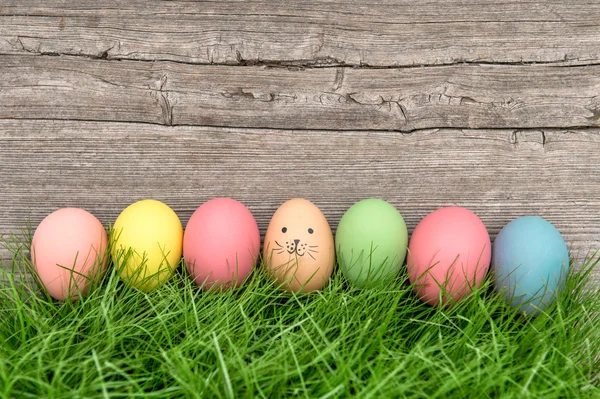 Velikonoční vajíčka a roztomilý zajíček. — Stock fotografie