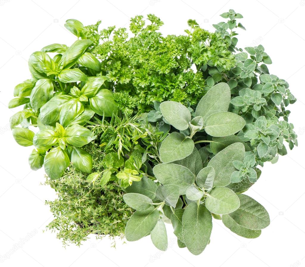 Fresh healthy herbs. — Stock Photo © LiliGraphie 103181236