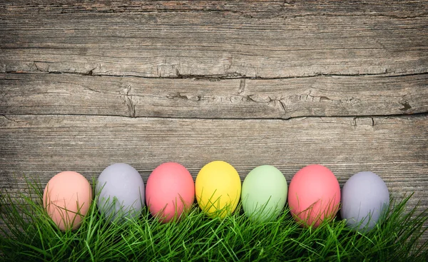 Húsvéti tojás zöld fűben — Stock Fotó