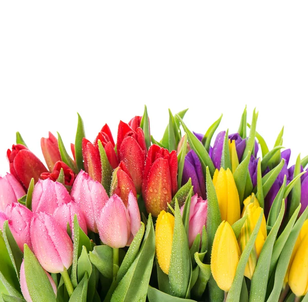 Bouquet di tulipani multicolori — Foto Stock