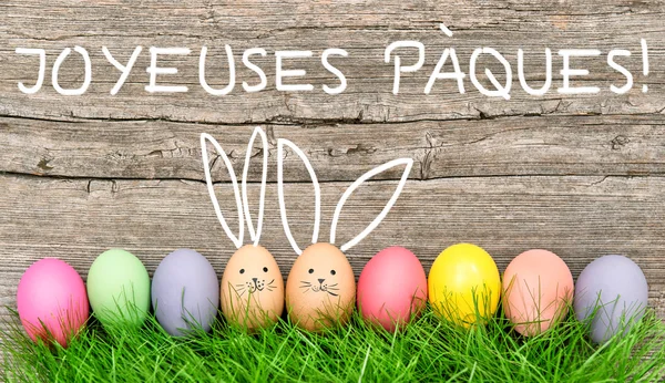 Easter eggs cute bunny. — Stock Photo, Image