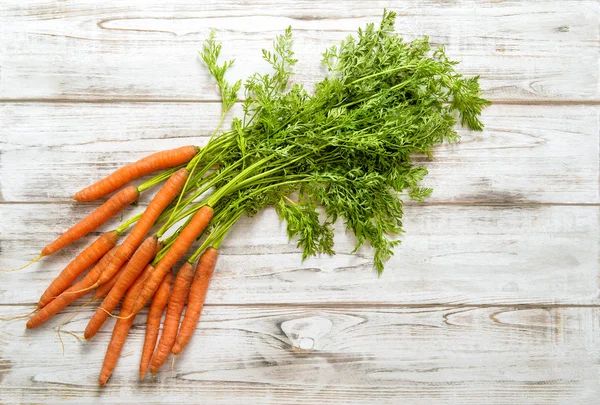 Radici di carota fresche — Foto Stock