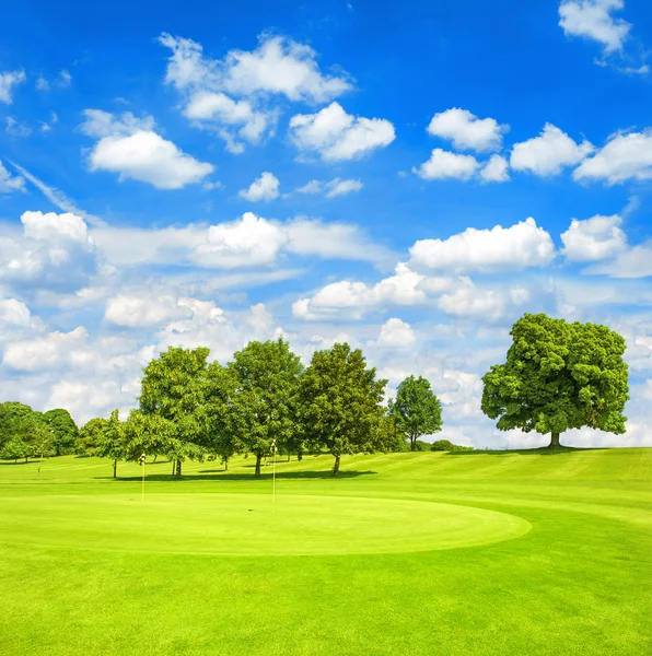 Grönt fält och blå molnig himmel. — Stockfoto