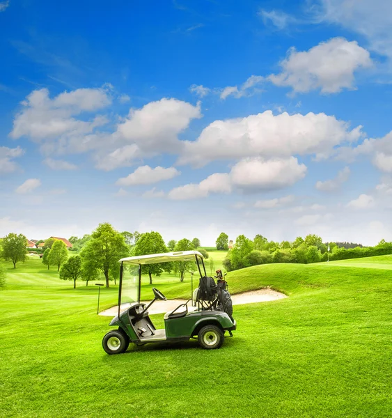 Spring landscape with fresh grass — Stock Photo, Image