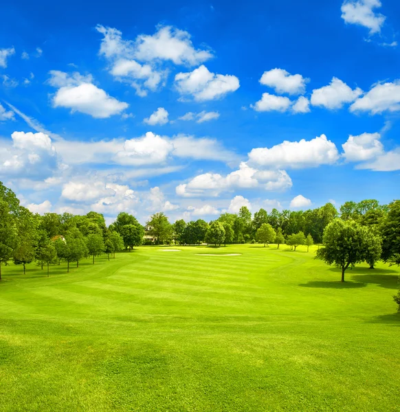 Grönt fält och blå molnig himmel. — Stockfoto