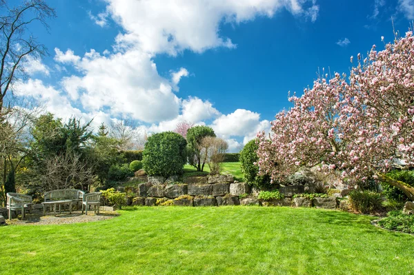 Angielski ogród wiosną — Zdjęcie stockowe