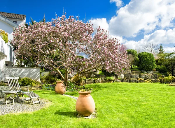 Primavera giardino inglese — Foto Stock