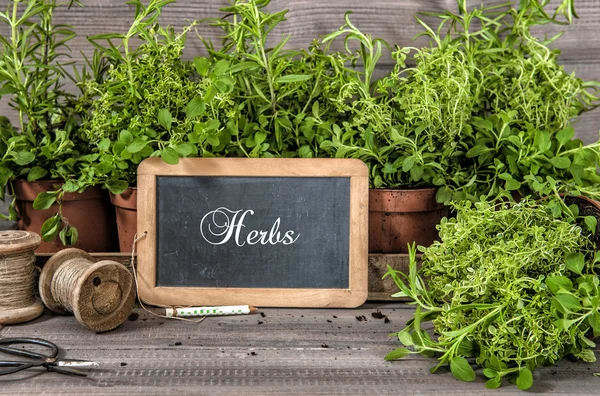 Healthy food ingredients — Stock Photo, Image