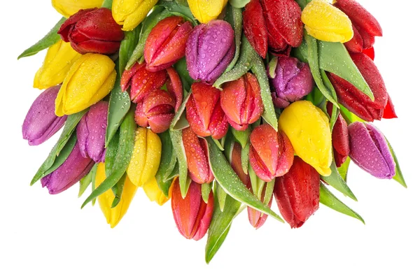 Букет свіжих весняних тюльпанів — стокове фото