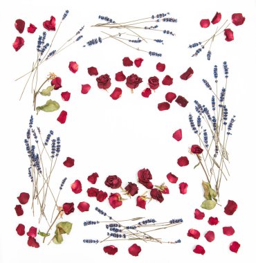 Çerçeve çiçek gül lavanta çiçeği. Düz yatıyordu arka plan