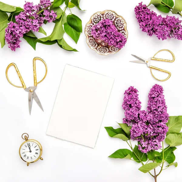 写生，淡紫色花朵，office 工具 — 图库照片