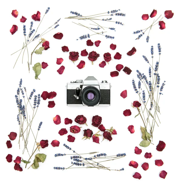 Vintage film camera with foral frame — Stock Photo, Image