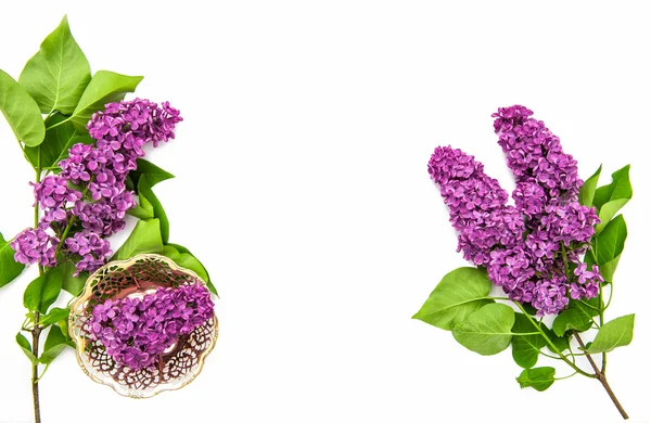 Lilac flowers background. — Stock Photo, Image