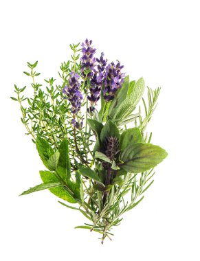 Taze otlar biberiye, kekik, nane, fesleğen, lavanta