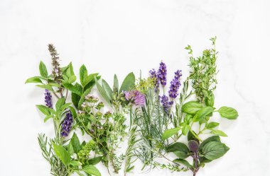 Taze otlar fesleğen, biberiye, adaçayı, kekik, nane, dereotu, kokulu