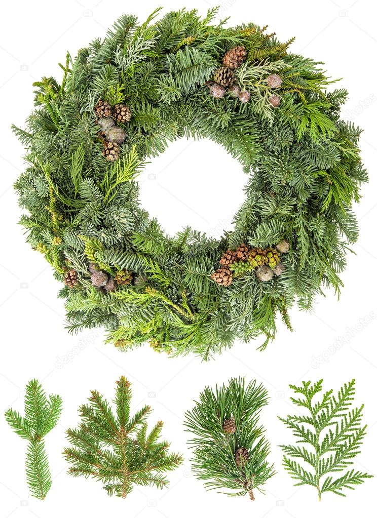 Christmas wreath from fir pine spruce twigs with cones