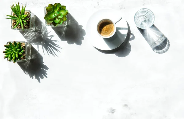 Planta Plana Floral Con Café Plantas Suculentas Sobre Fondo Piedra —  Fotos de Stock