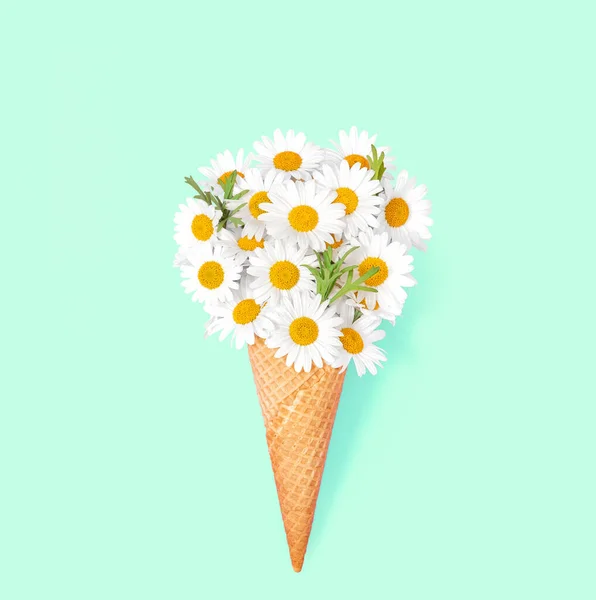Ромашкові Ромашкові Квіти Морозиві Вафельний Конус Фоні Ятного Паперу Квіткова — стокове фото