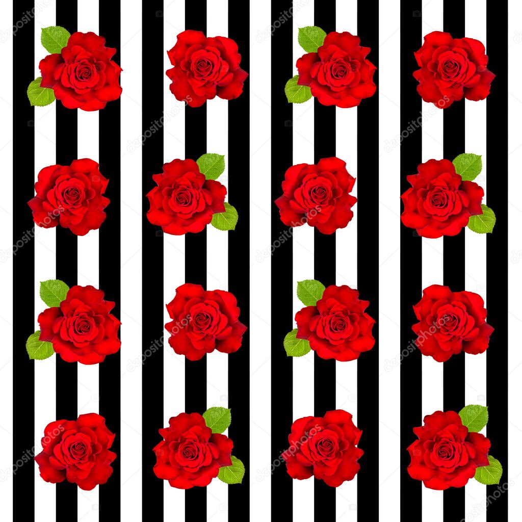 Red roses on striped seamless pattern. Retro style floral backgroun