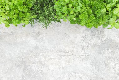 Taş masa zemininde taze bitkiler. Maydanoz, fesleğen, biberiye, nane