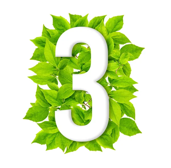 Номер Три Фігури Зеленим Листям Концепція Творчої Природи Форма Номер — стокове фото